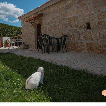 فيلا Baltarفي Casa Das Tias المظهر الخارجي الصورة